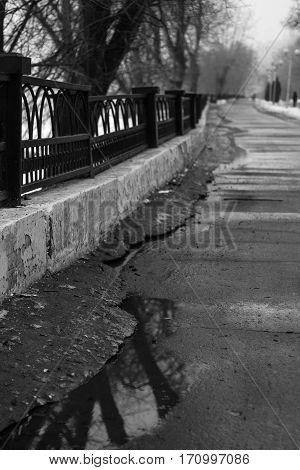 Embankment In Early Spring