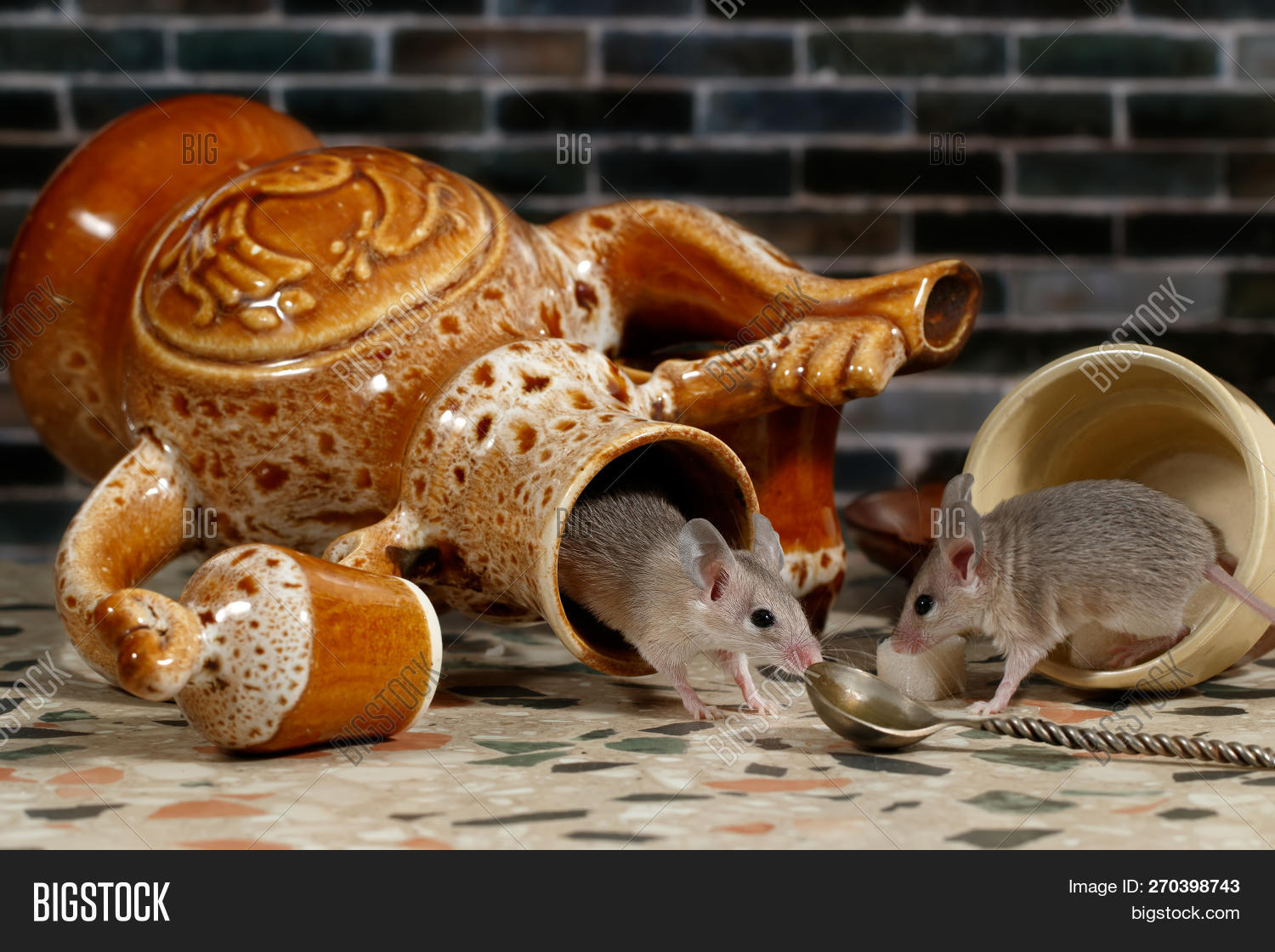 Two Mice On Countertop Image & Photo (Free Trial) Bigstock