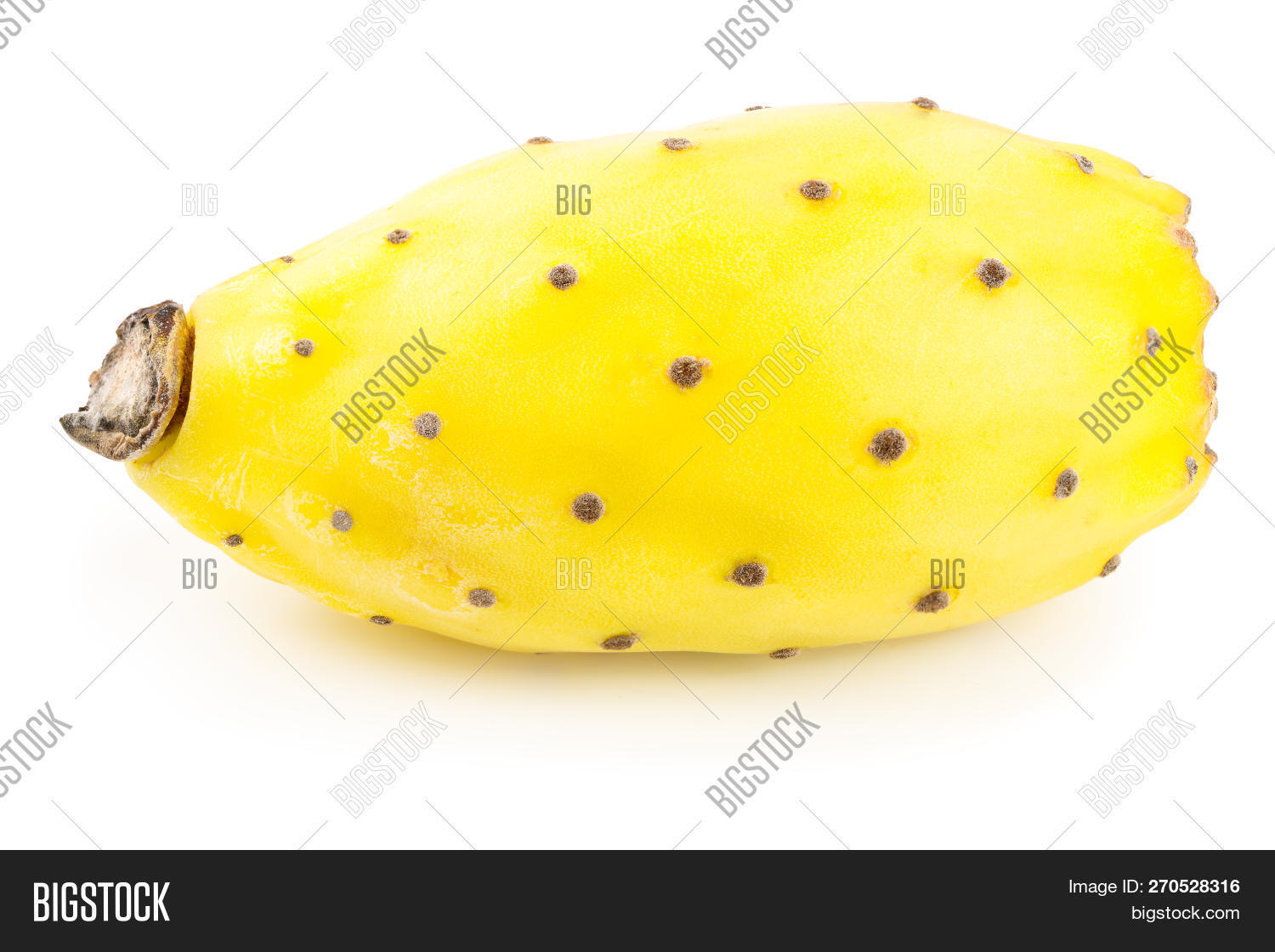 Yellow Prickly Pear Image & Photo (Free Trial) Bigstock