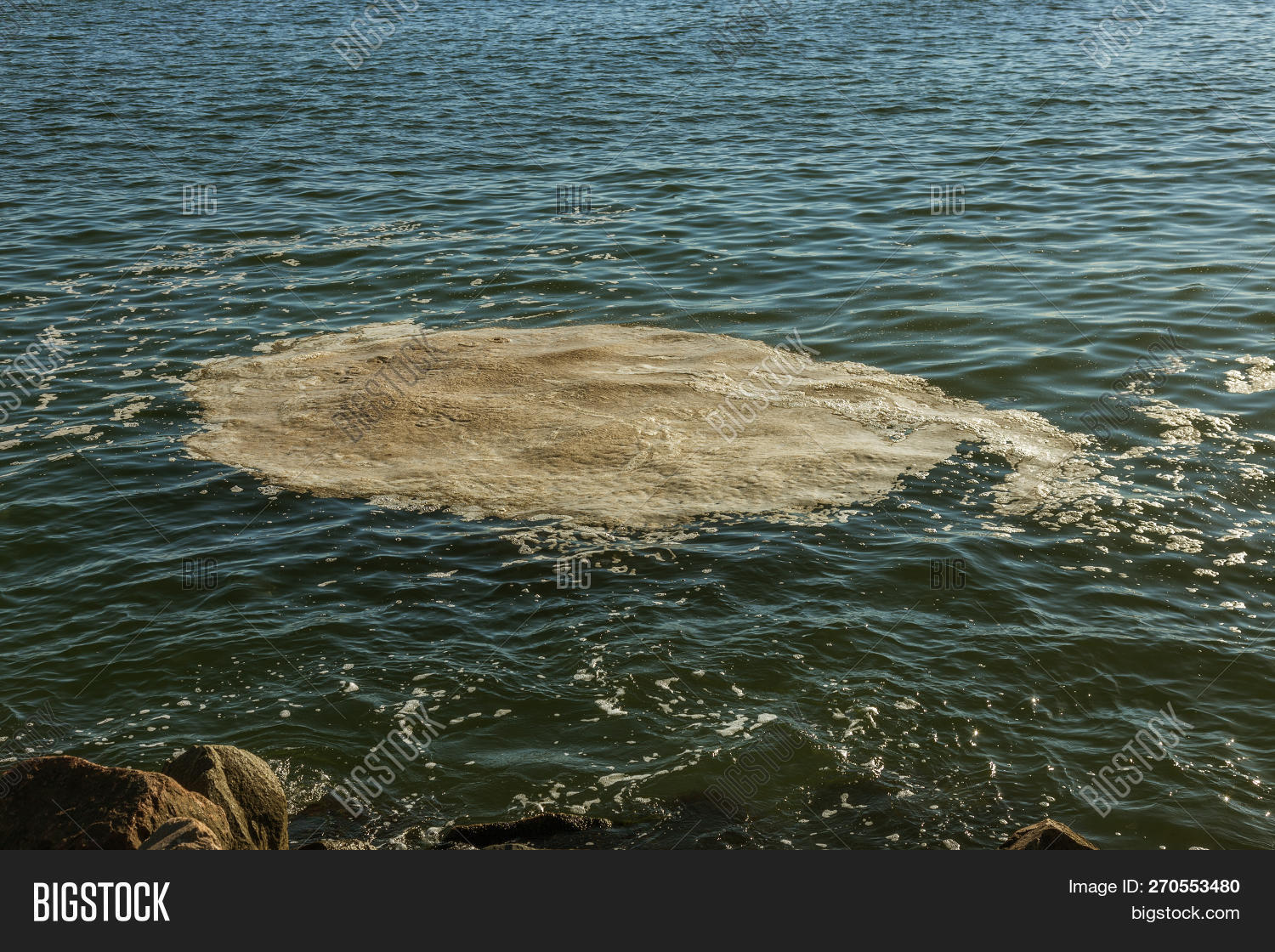 Dirty Sea Water. Dirt Image & Photo (Free Trial) Bigstock