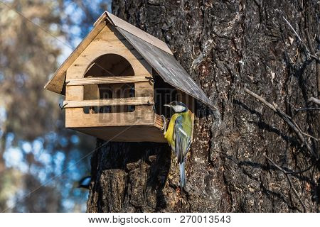 A Small Yellow Tit Sits On A Yellow Bird And Squirrel Feeder House From Plywood In The Park