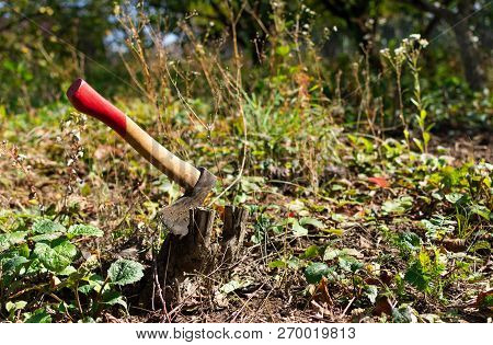 Autumn Work In The Garden, Ax Stuck In The Stump, Cutting Down Trees In The Garden With An Axe