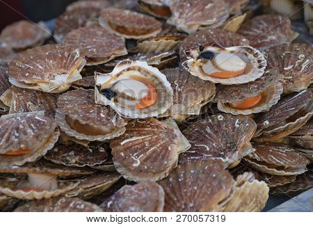 Fresh Scallops On A Seafood Market At Dieppe France
