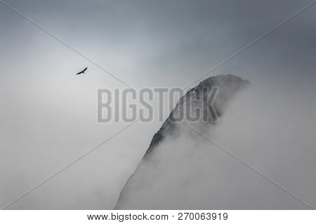 Banff National Park