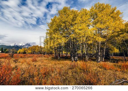 Banff National Park