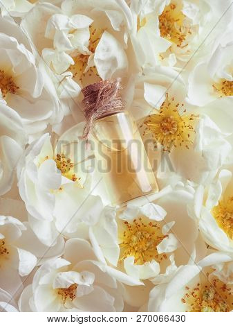Arabian Oud Attar Perfume Or Agarwood Oil Fragrances In Mini Bottle