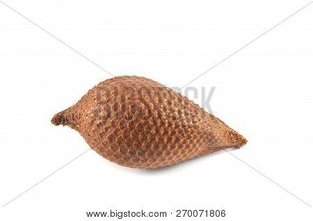 Salak Isolated / Tropical Fruit Of Snake Isolated On White Background - Brown
Ripe Salak Salacca Zal