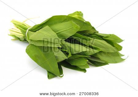 Świeże liście ramson