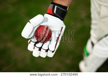 Cricket player holding a cricket ball