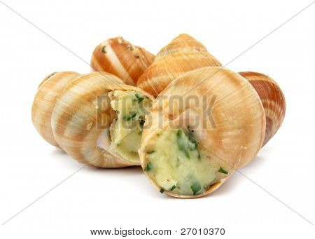 Escargot di lumache preparato come cibo