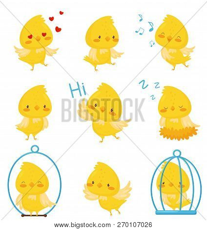 Cute Chicken Chracters In Various Situations Set, Emotional Funny Bird Cartoon Character Vector Illu