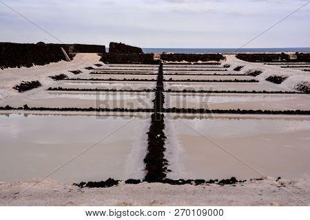 Picture Photo Of Salt Flats In The Canry Islands