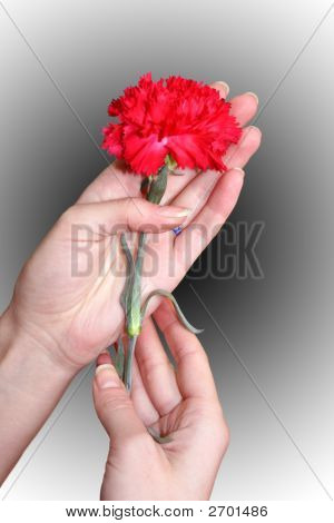 Blomst