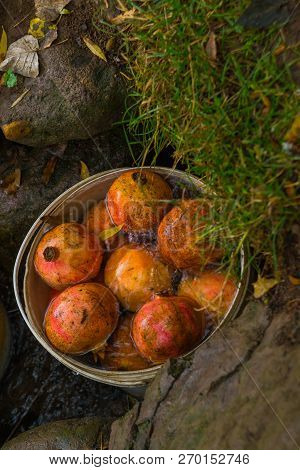 Pomegranates Are In A Bucket To Make Fresh Juice For Tourists. Ihlara Valley, Cappadocia, Turkey