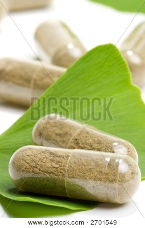 Ginkgo Biloba