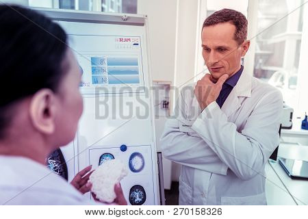 Attentive Brunette Man Staring At Model Of Brains