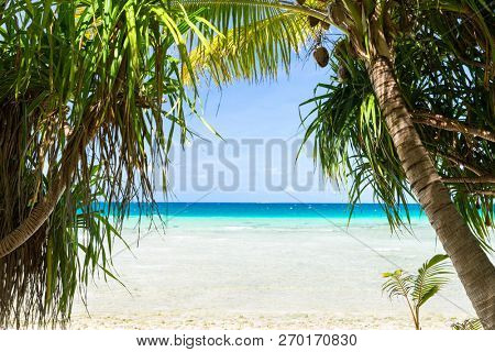 travel, seascape and nature concept - tropical beach with coconut trees in french polynesia