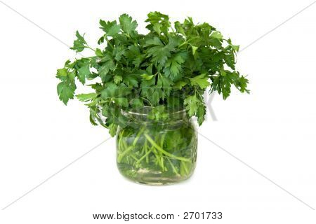 Isolado de salsa fresca
