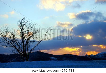 Dans la montagne avant le coucher de soleil.