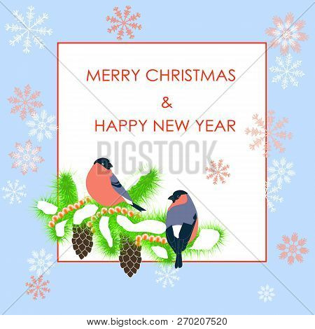 Typography Banner Red Merry Christmas And Happy New Year, Bulfinch On Fir Tree On White, Blue Frame,