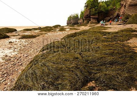 Bay Of Fundy, Canada - July 2, 2017:  Bay Of Fundy In Canada  With The Highest Tides On Earth Is One