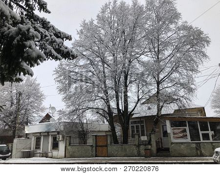 Caucasus Mountains Georgia Ski Resort In Bakuriani. Beautiful View Of The Snowy Landscape. The Begin