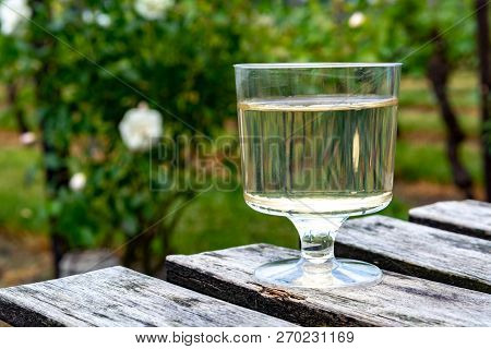 Dutch Winery, White Wine Tasting On Vineyard In Brabant On Outside Terrace
