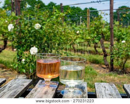 Dutch Winery, Rose Wine Tasting On Vineyard In Brabant On Outside Terrace