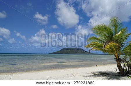 Elim Beach With Cape Bedford In The Background