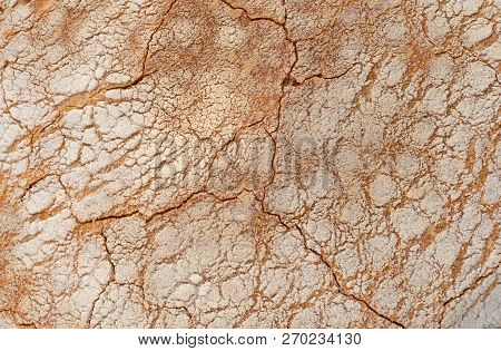 The Texture Of The Fried Crust Surface Of Bread. Closeup Background. Stock Image.