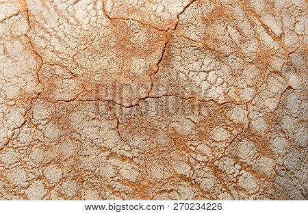 The Texture Of The Fried Crust Surface Of Bread. Closeup Background. Stock Image.