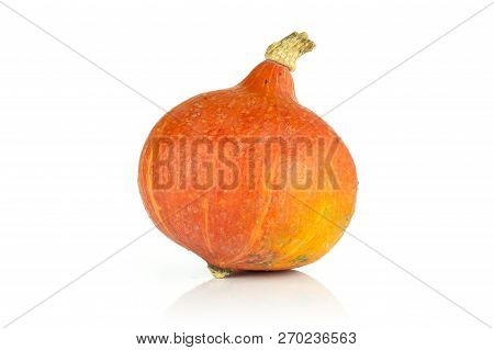 One Whole Bright Fresh Red Kuri Pumpkin Hokkaido Variety Isolated On White Background