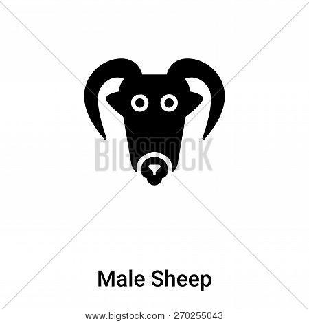 Male Sheep Icon Vector Isolated On White Background, Logo Concep