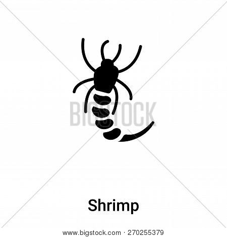 Shrimp Icon Vector Isolated On White Background, Logo Concept Of