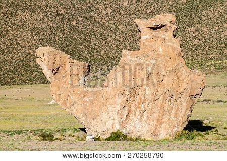 Rock Formation Called Camel In Italia Perdida In Bolivia