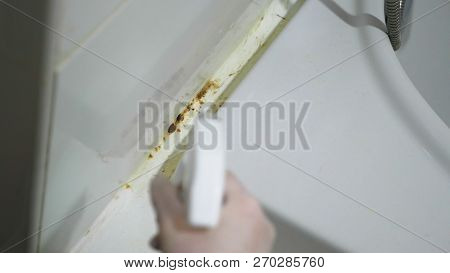 Close-up, Mold At The Seams In The Bathroom.