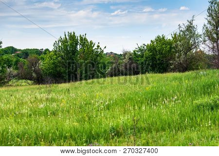 Russian Countryside With Green Trees In Summer