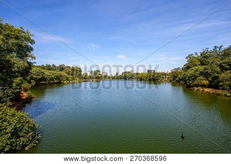 Amazing view of Sao Paulo city from Ibirapuera Park , Brazil. The Ibirapuera is one of Latin America largest city parks.