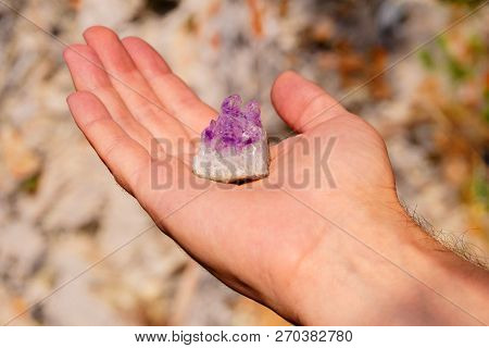 Druse Of Natural Untreated Violet Crystals Of Amethyst On A Piece Of Rock Lies On The Palm Of Your H