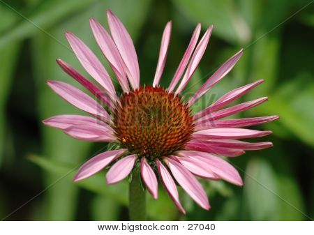 Heure d'été