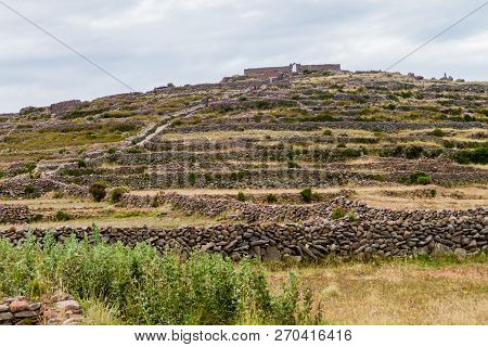 Agricultural Terraces On Pachatata Hill On Amantani Island In Titicaca Lake, Peru