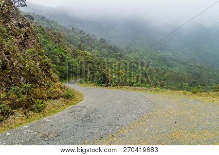 Access Road To National Park Podocarpus In Southern Ecuador