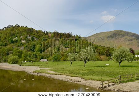 Shores At The Top Of Ullswater At Glenridding, English Lake District