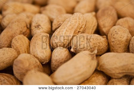Peanut