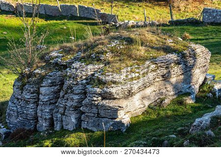 Limestone Monolith - Unusual Karst Erosion Formation In The Regional Natural Park Of Lessinia (valle