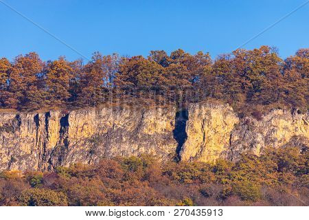 Scenic Landscape With Trees In Mountain Forest In Autumn.