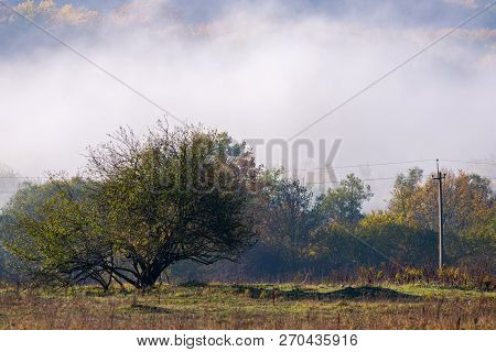 Scenic Landscape With Trees In Mountain Forest In Autumn.