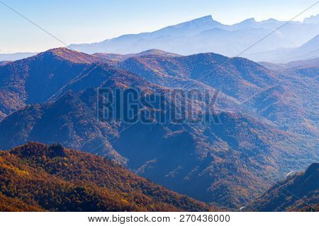 Scenic Landscape With Trees In Mountain Forest In Autumn.