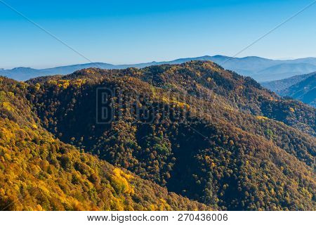 Scenic Landscape With Trees In Mountain Forest In Autumn.