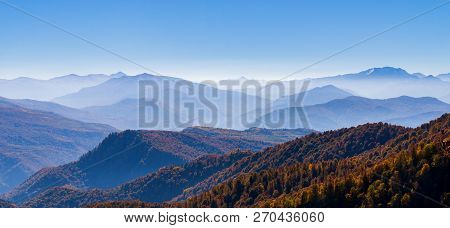 Scenic Landscape With Trees In Mountain Forest In Autumn.